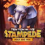 Ten Ton Ways Stampede